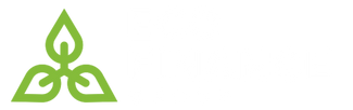 ECO Finance Group